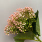 Light Pink/White Berry Cluster