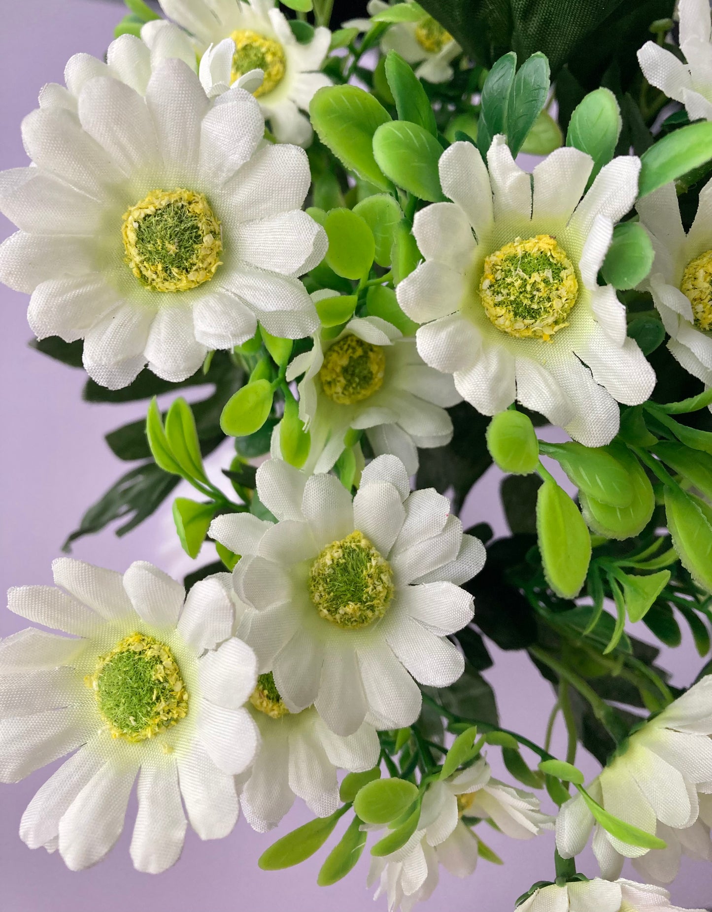 White Daisy Bunch