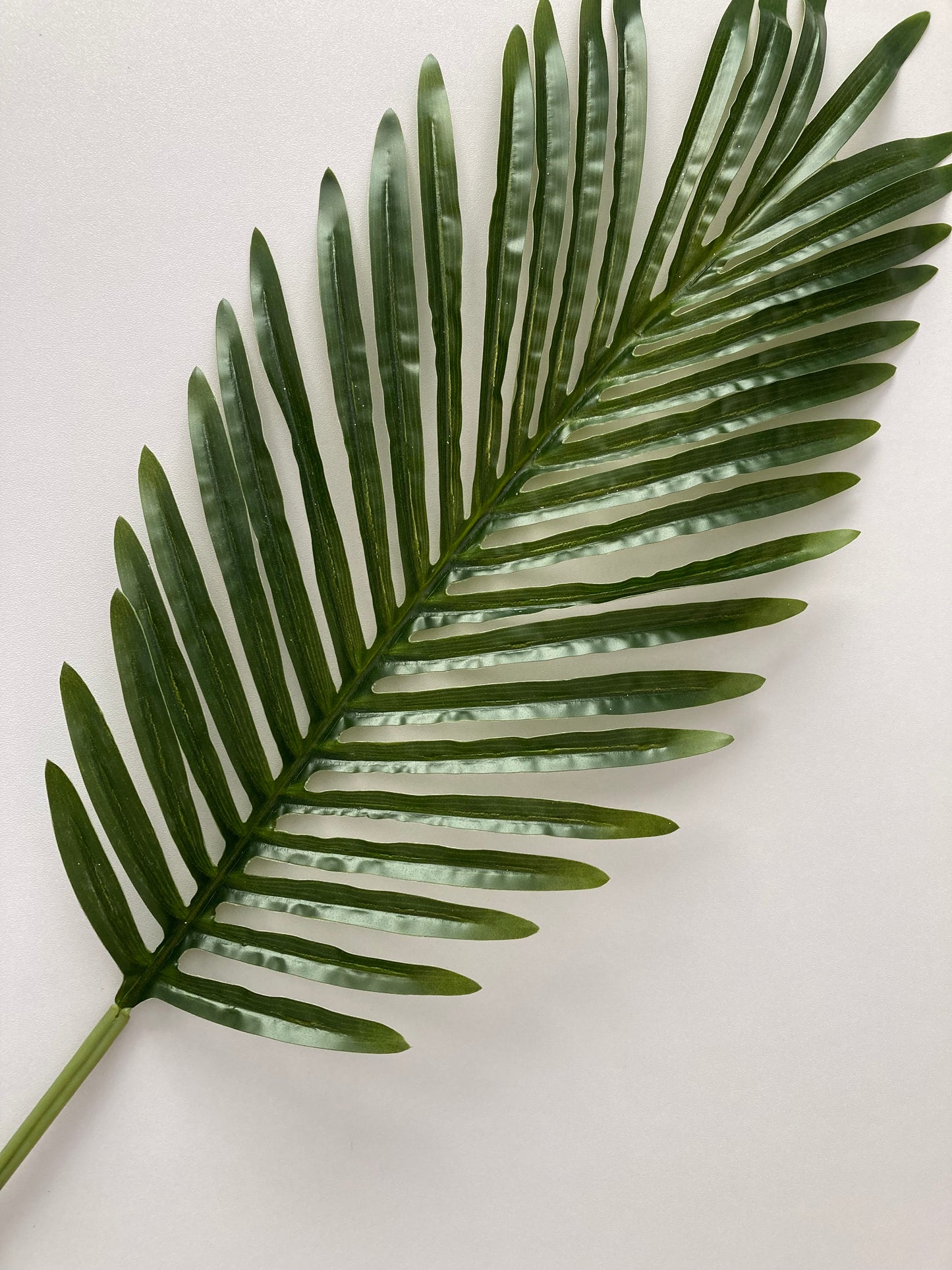 85cm Areca Palm Leaf