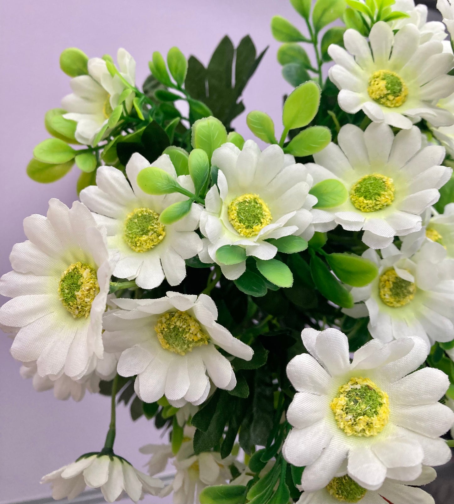 White Daisy Bunch