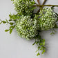 White Cluster Berry 3 Stems