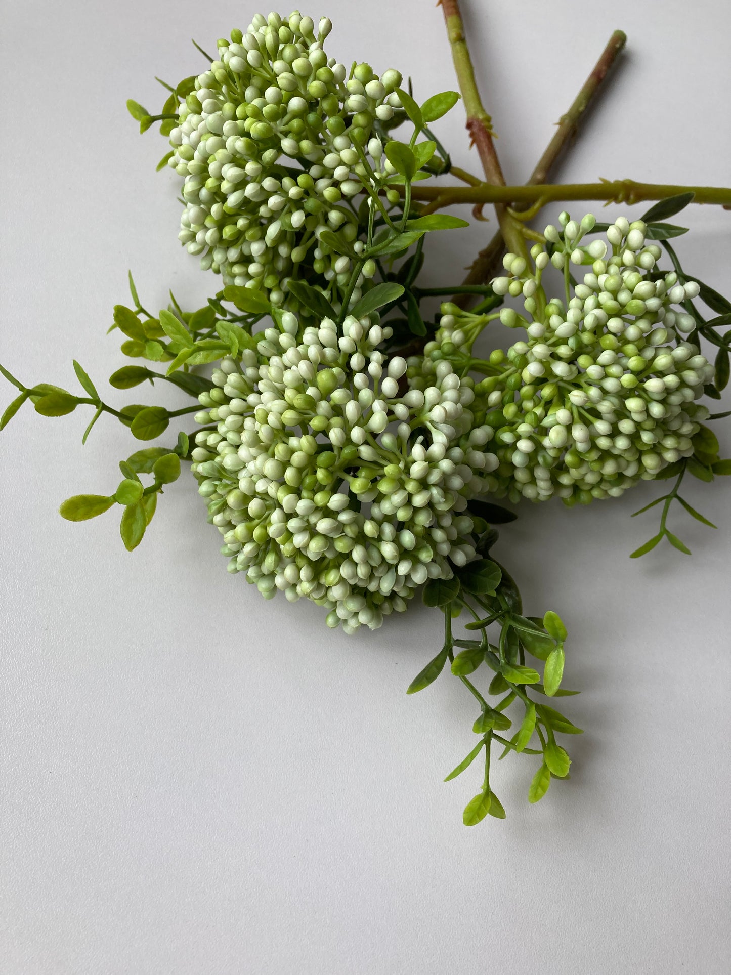 White Cluster Berry 3 Stems