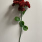 Deep Red Sedum Spray