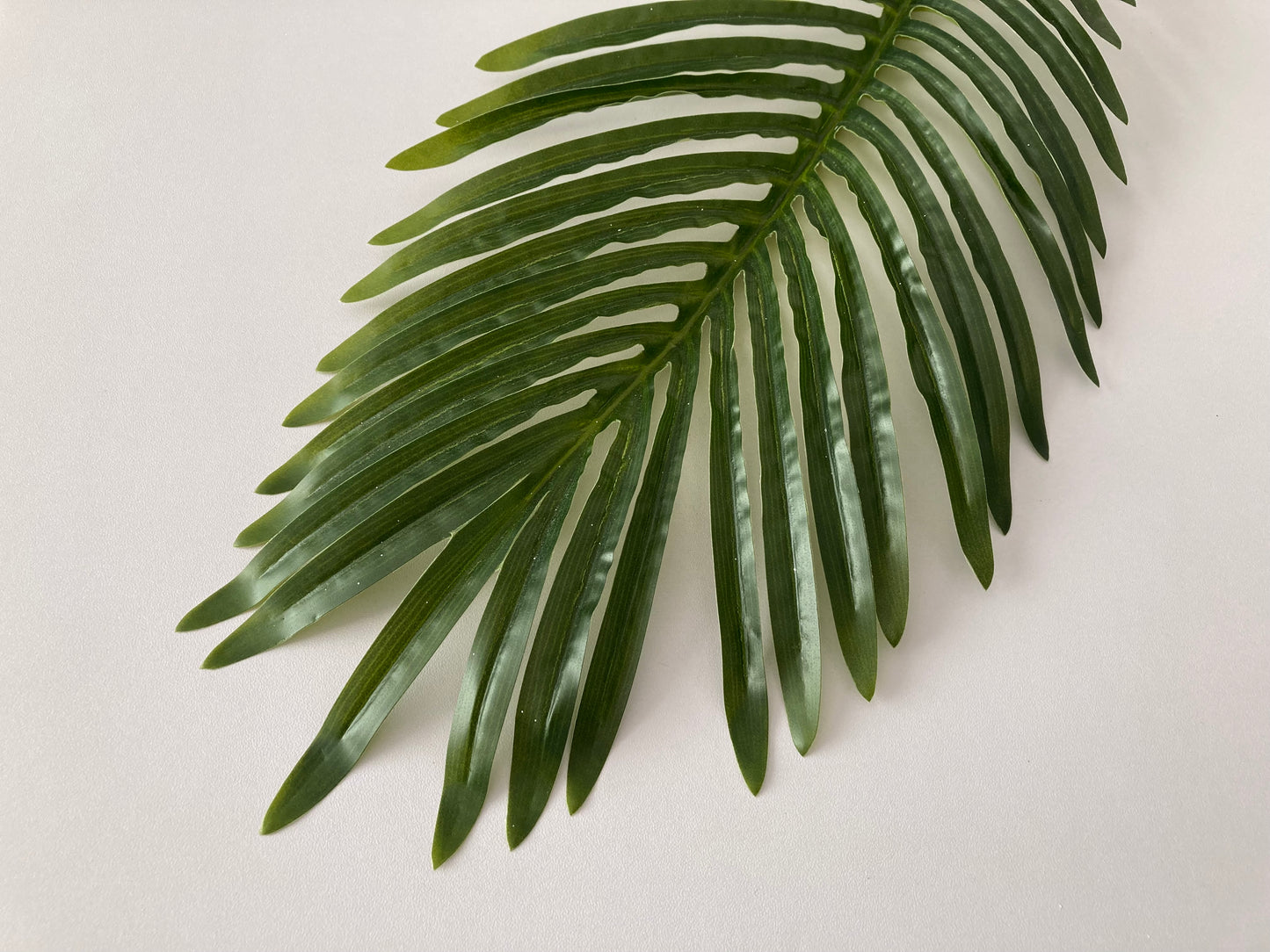 85cm Areca Palm Leaf