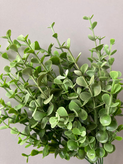 Mini Boxwood Bush Foliage