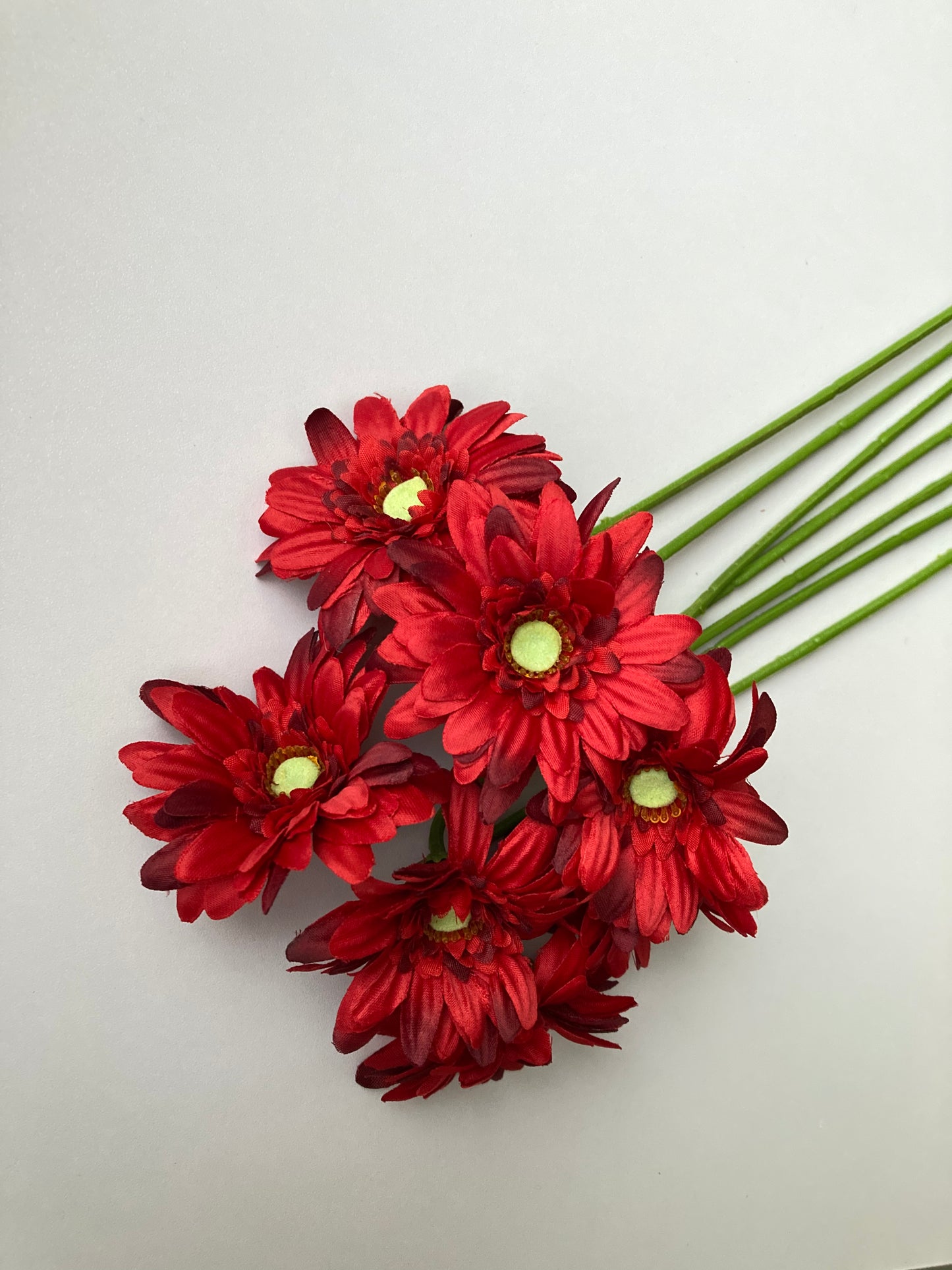 Red Gerbera Bunch