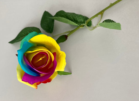 55cm Velvet Rainbow Rosebud