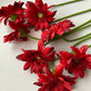 Red Gerbera Bunch