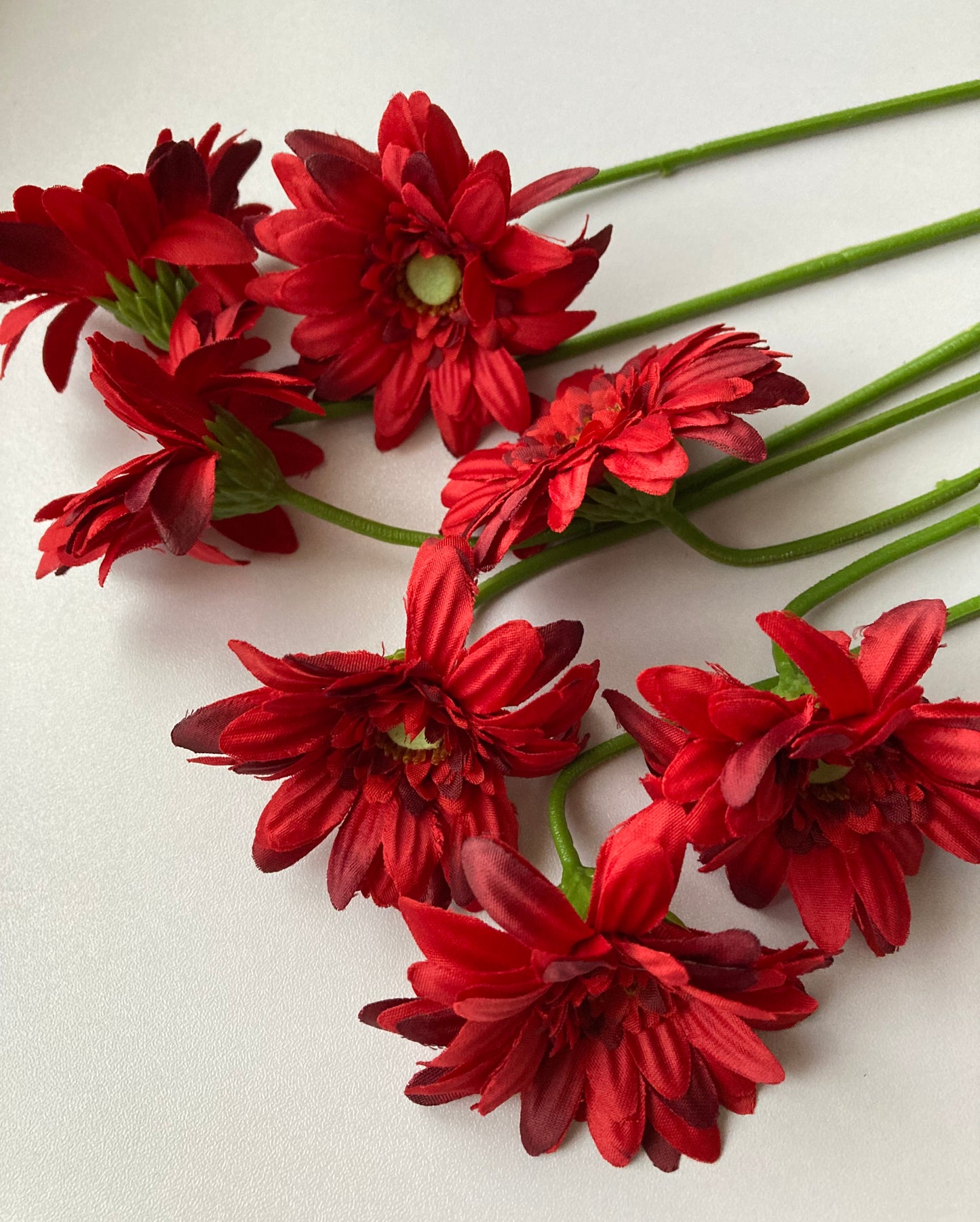 Red Gerbera Bunch