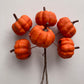 Orange Pumpkin Bunch