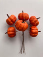 Orange Pumpkin Bunch