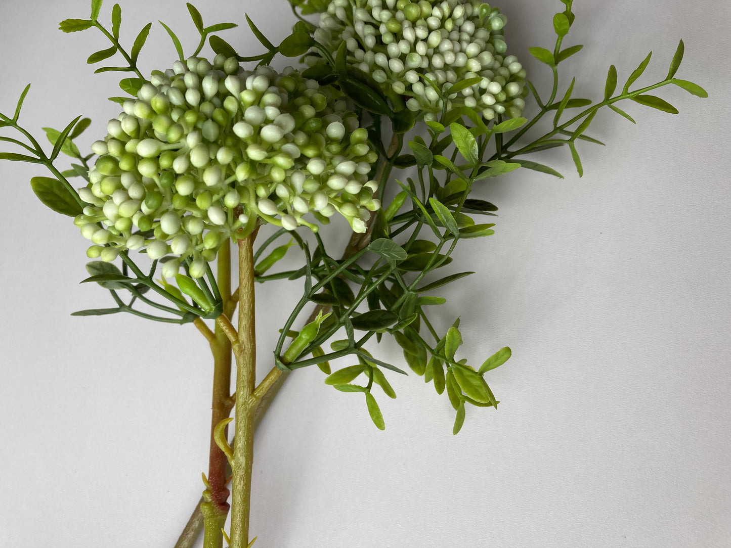 White Cluster Berry 3 Stems