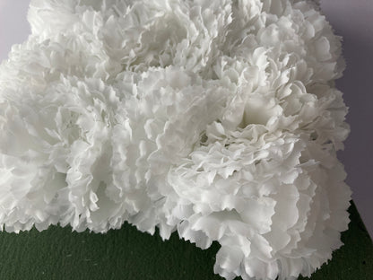 72 White Carnations