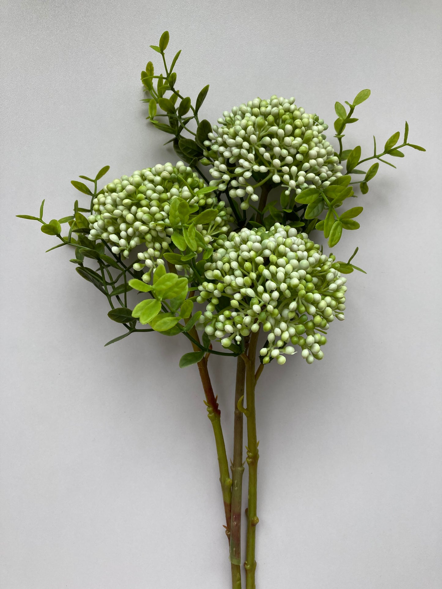 White Cluster Berry 3 Stems