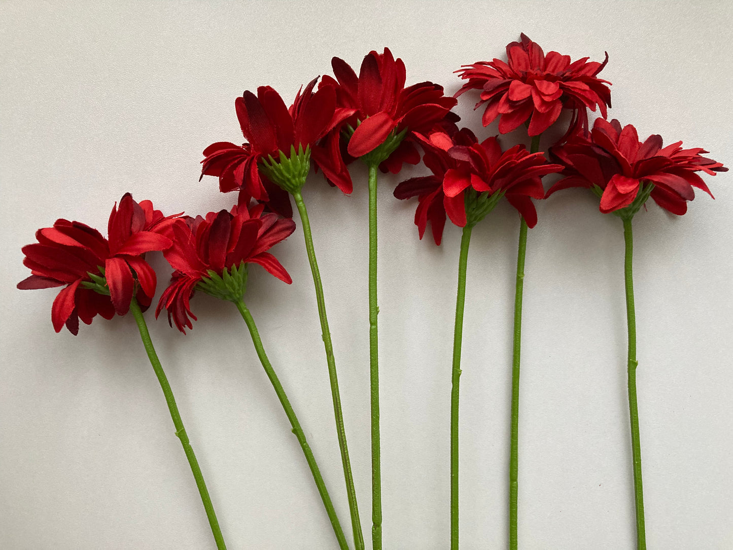 Red Gerbera Bunch