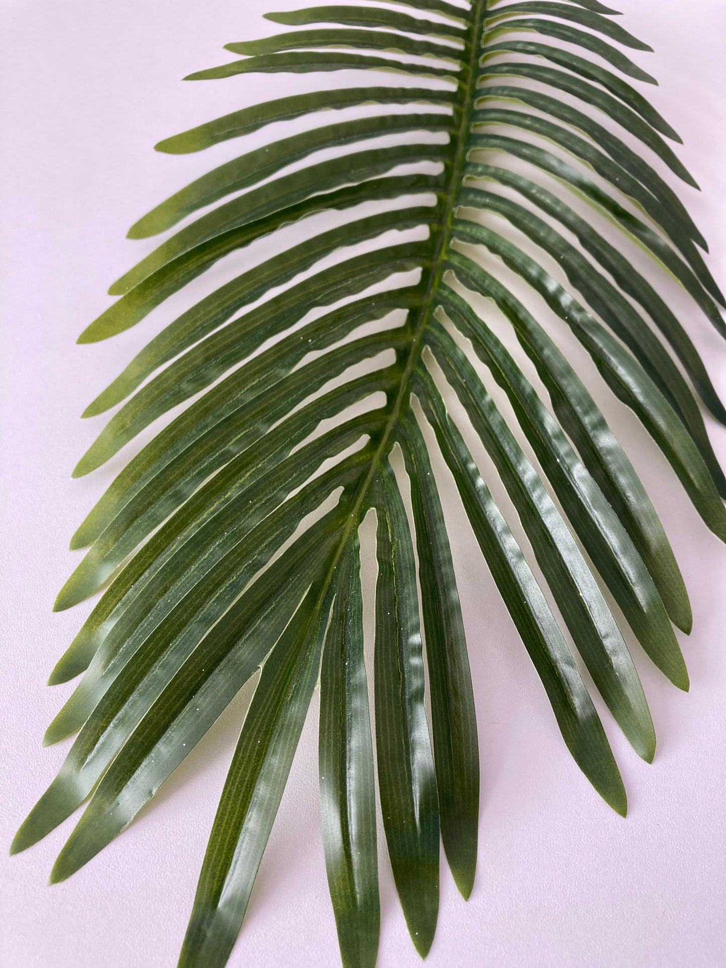 85cm Areca Palm Leaf