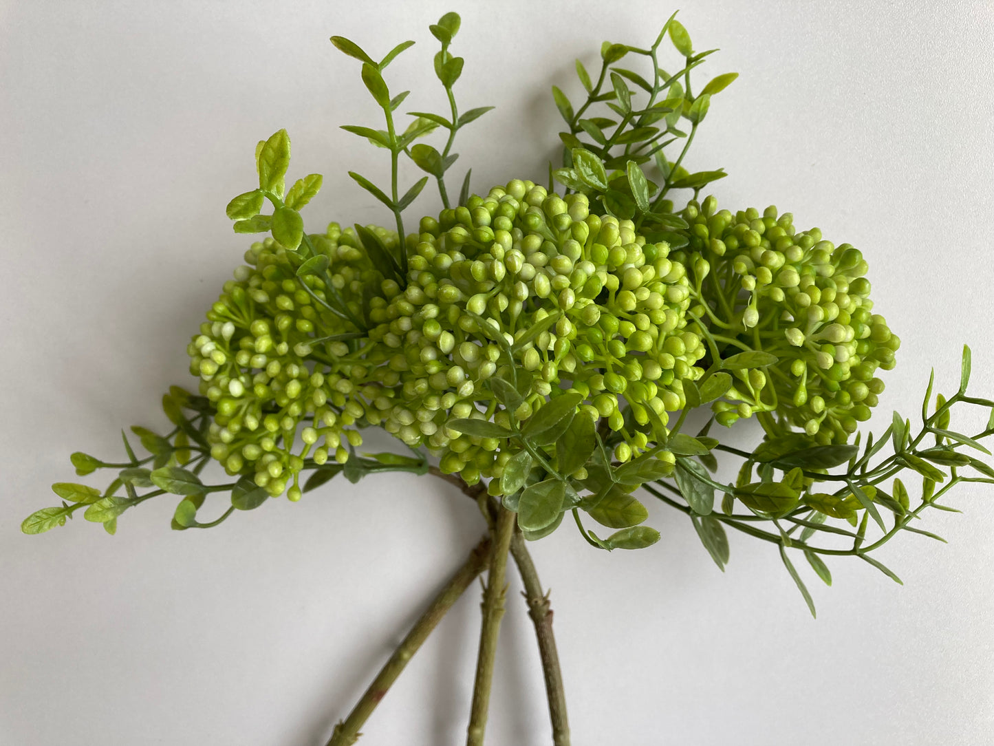 Green Cluster Berry 3 Stems