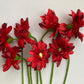 Red Gerbera Bunch