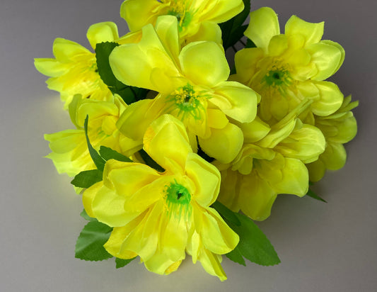 Yellow Dahlia Bunch