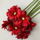 Red Gerbera Bunch