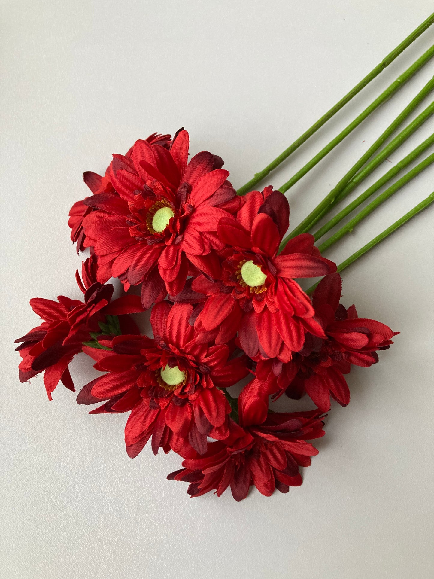 Red Gerbera Bunch