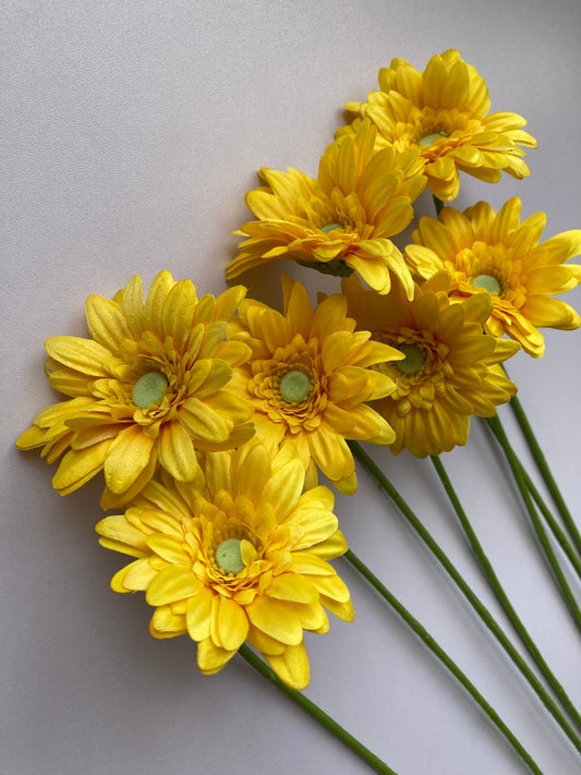 Yellow Gerbera Bunch