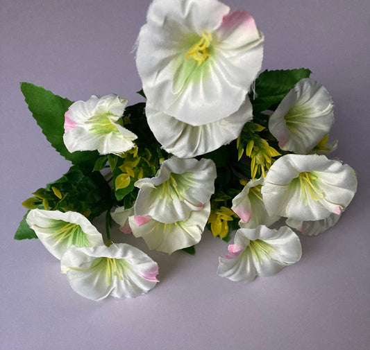 White Morning Glory Bunch