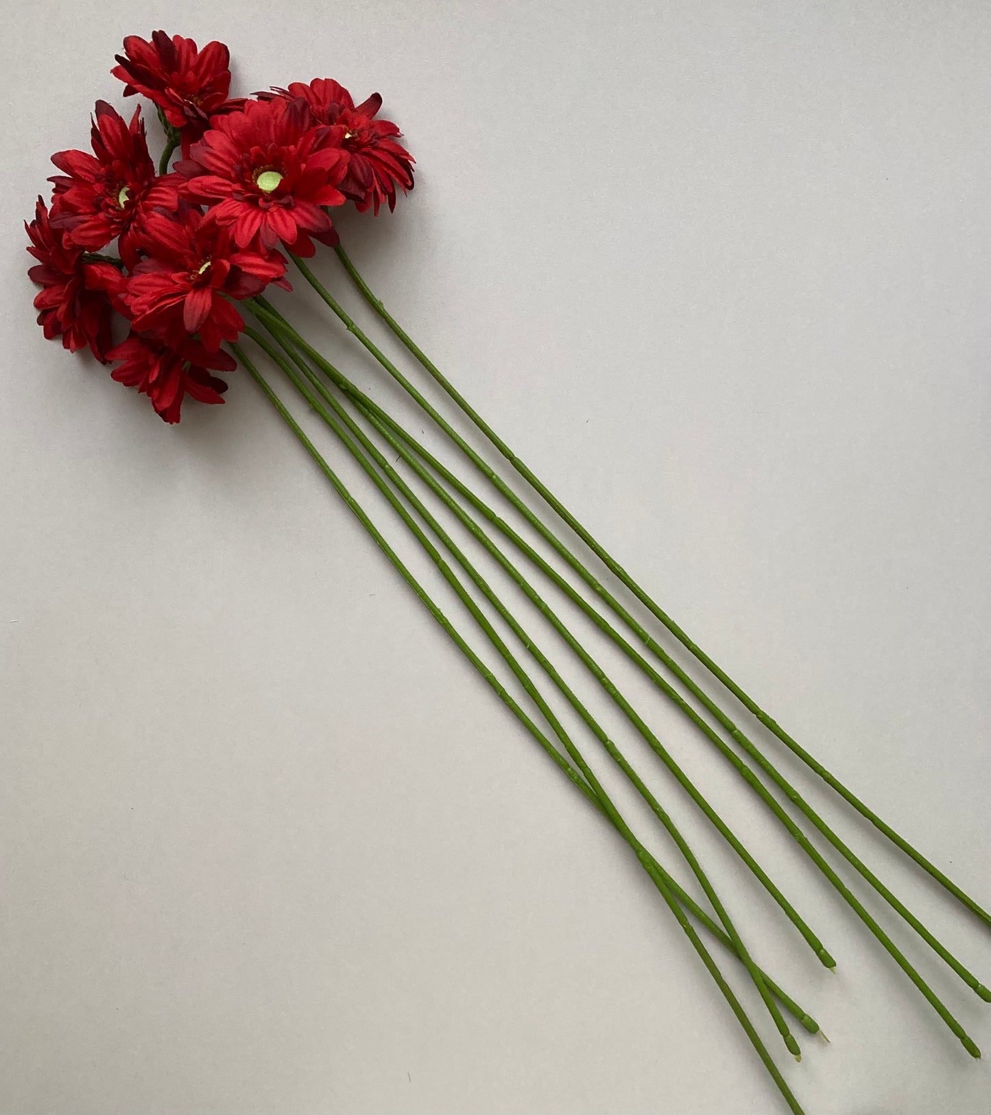 Red Gerbera Bunch