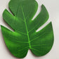 12 Medium Monstera Leaf Heads