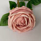 Pink Globe Rose