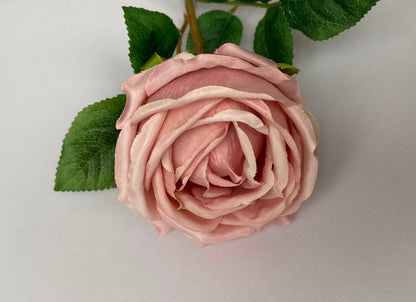 Pink Globe Rose