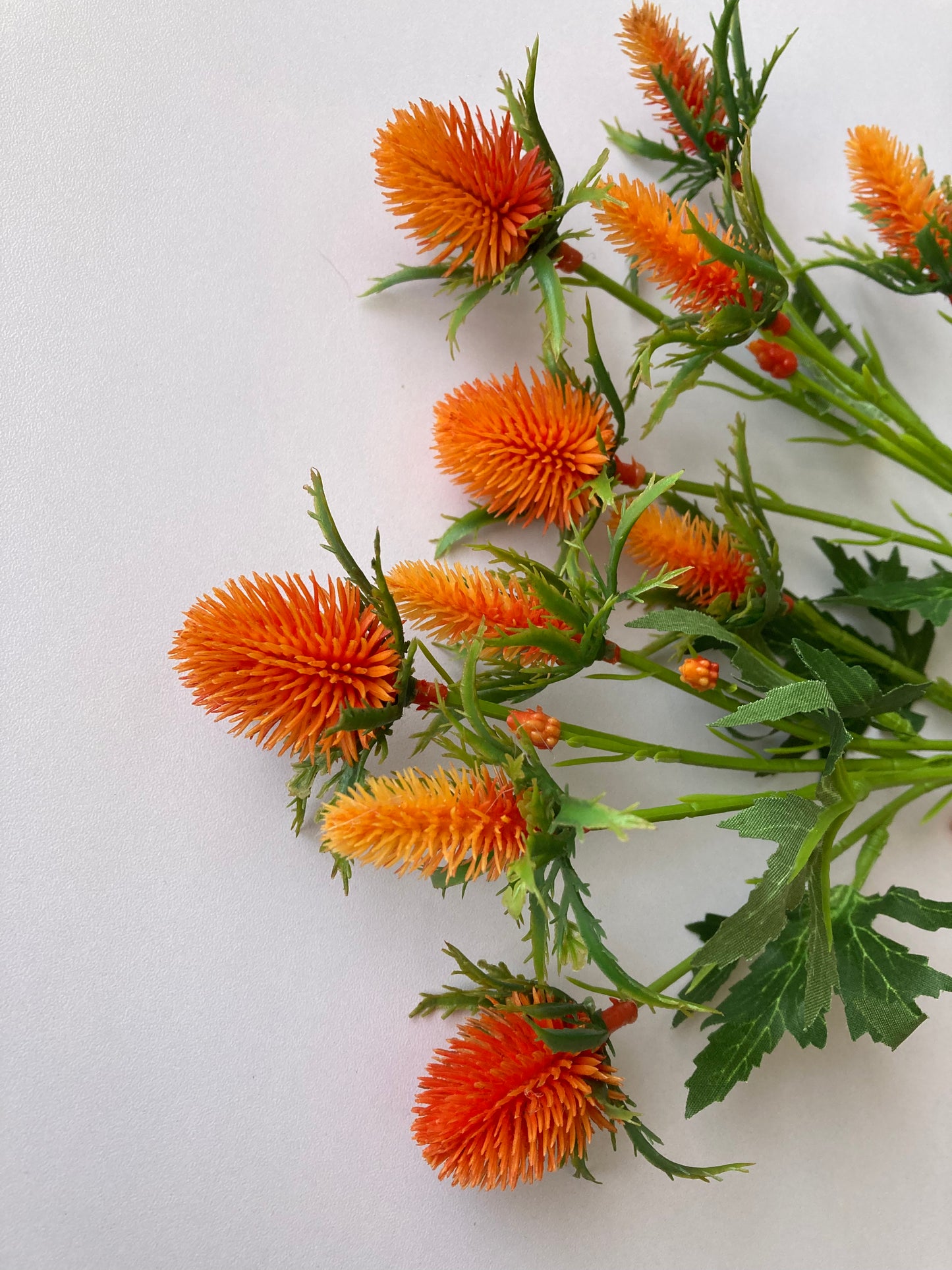 Orange Sea Holly Spray