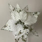 White & Silver Poinsettia