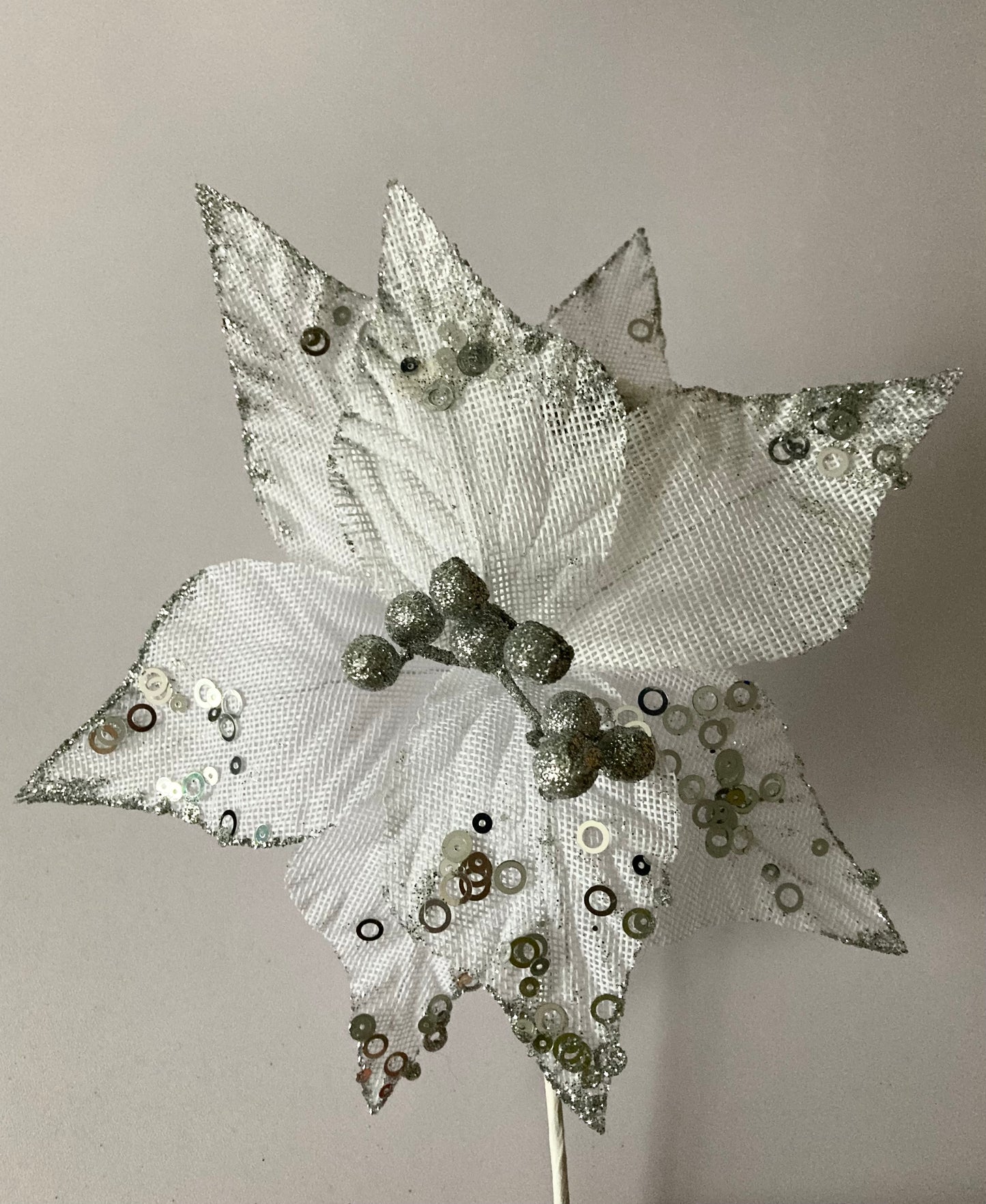 White & Silver Poinsettia