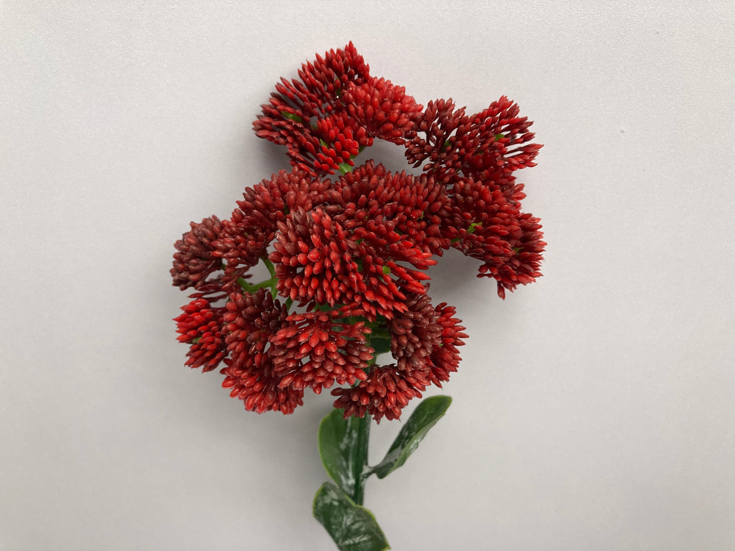 Deep Red Sedum Spray