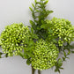 Green Cluster Berry 3 Stems