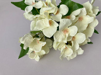 Ivory Hydrangea bunch