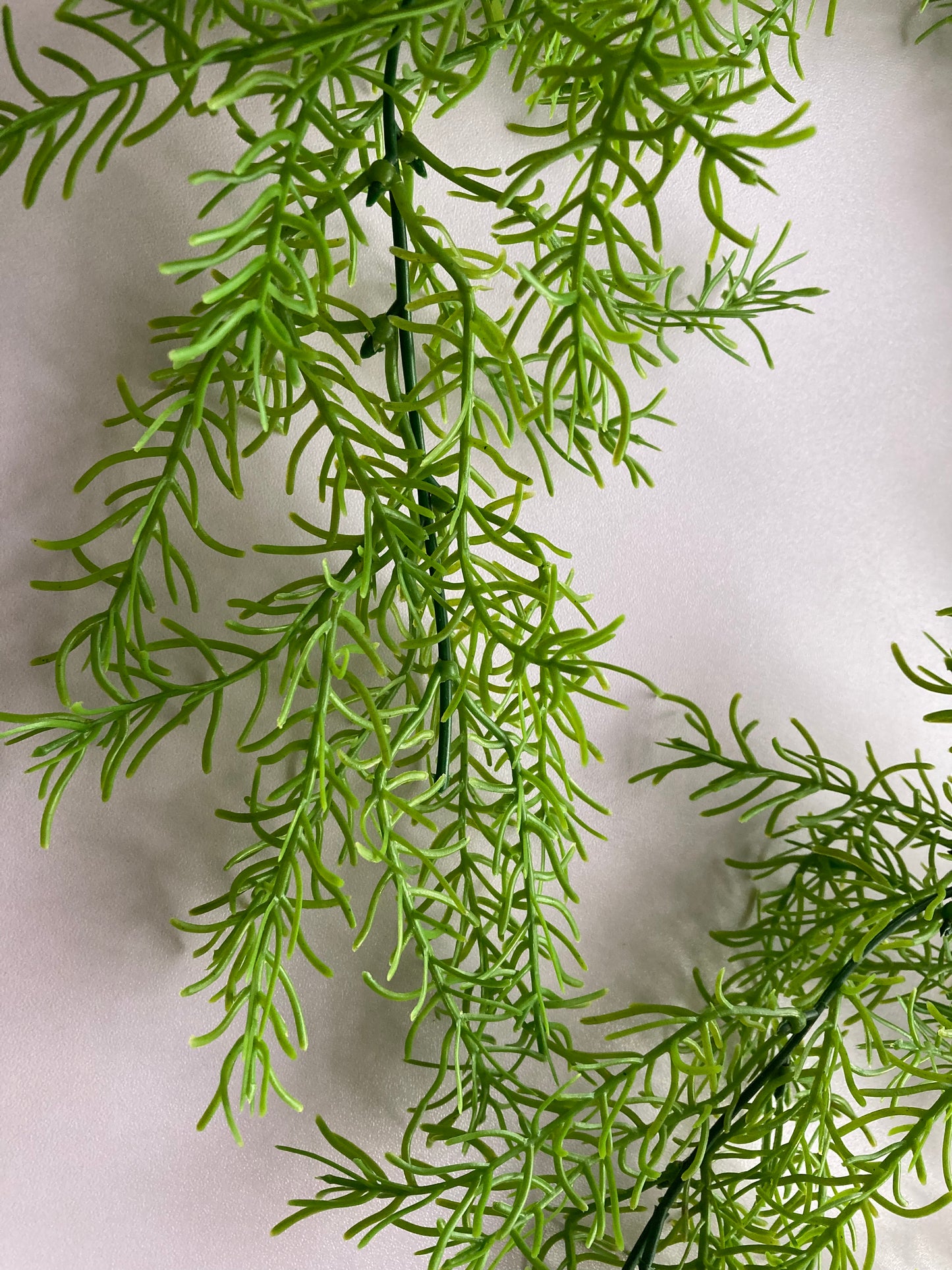 Long Trailing Foliage