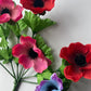 Colourful Anemone Bunch