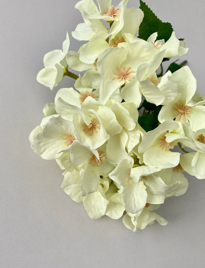 Ivory Hydrangea bunch