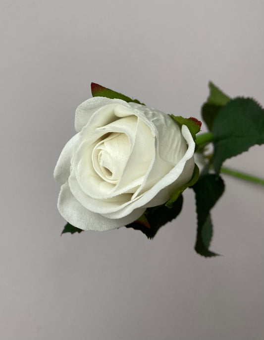 White Velvet Rosebud Stem