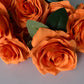 10 Orange Rose Bunch