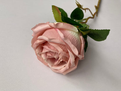 Pink Globe Rose