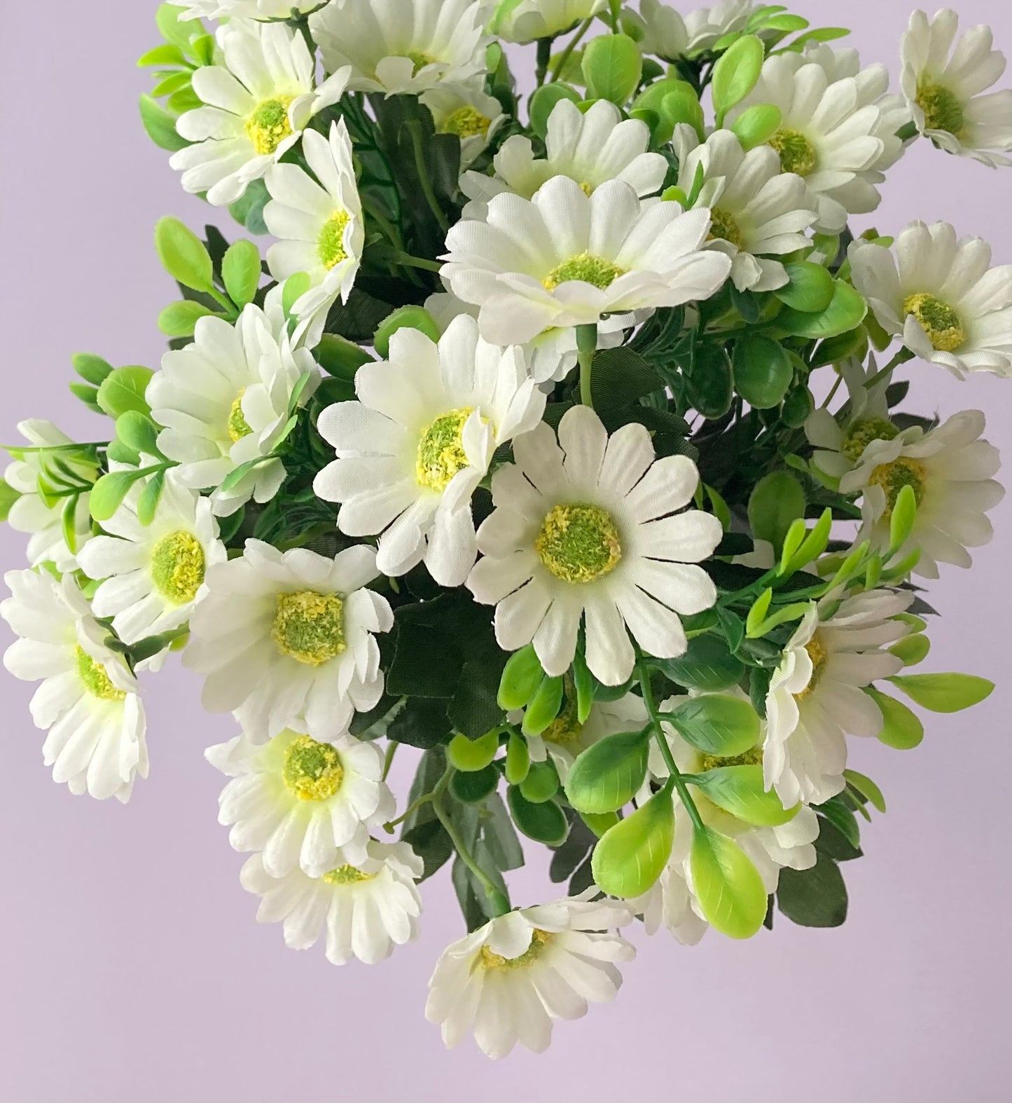 White Daisy Bunch