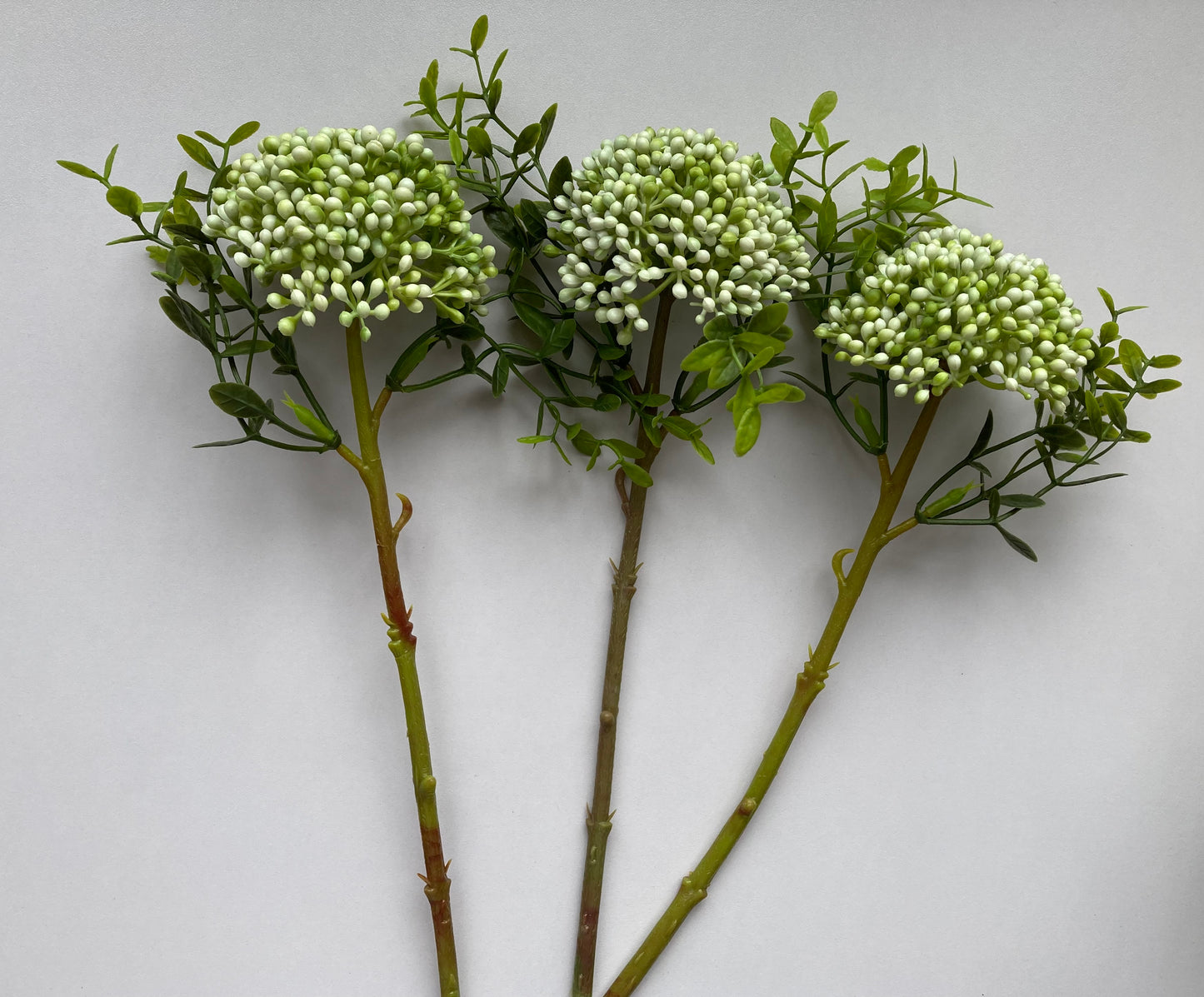 White Cluster Berry 3 Stems