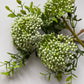 White Cluster Berry 3 Stems