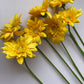 Yellow Gerbera Bunch