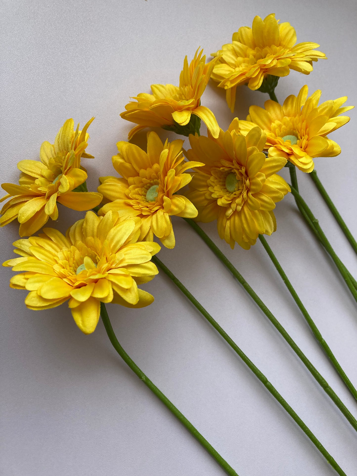 Yellow Gerbera Bunch