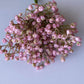 Light Pink Baby's Breath Bunch