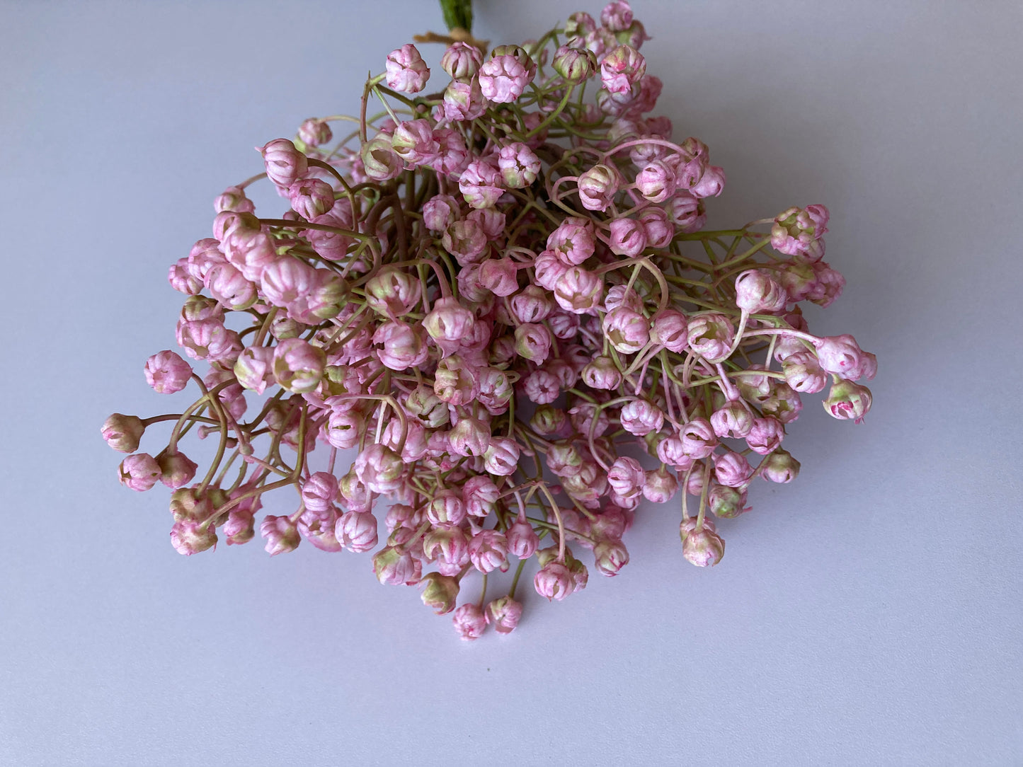 Light Pink Baby's Breath Bunch